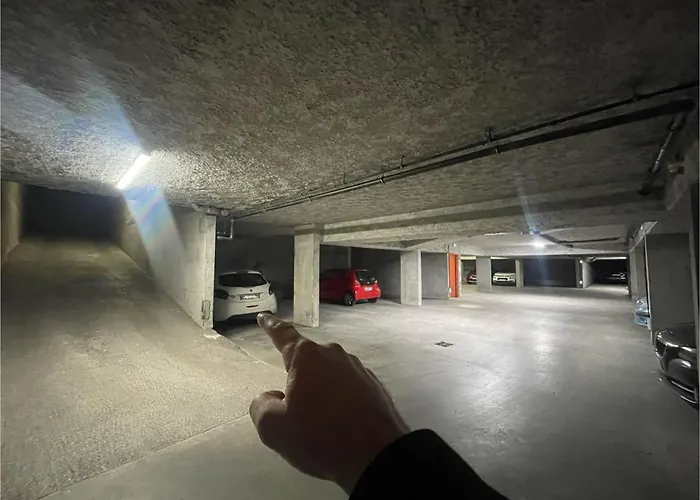BnGo I Immense RoofTop Lyon I 2 chambres, 4 places parkings, 2 immenses terrasses, 8 personnes