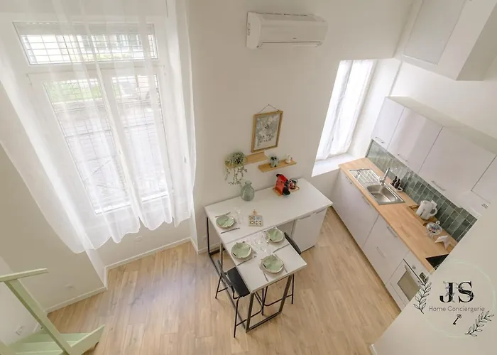 Le Dauphiné studio climatisé Lyon