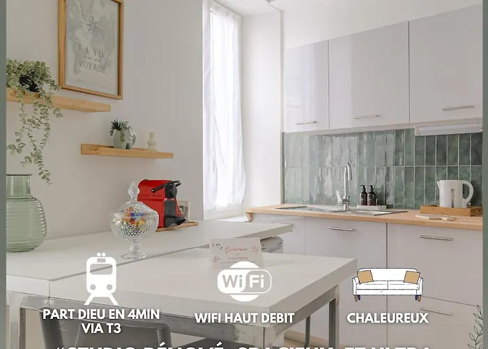 Le Dauphiné studio climatisé Lyon