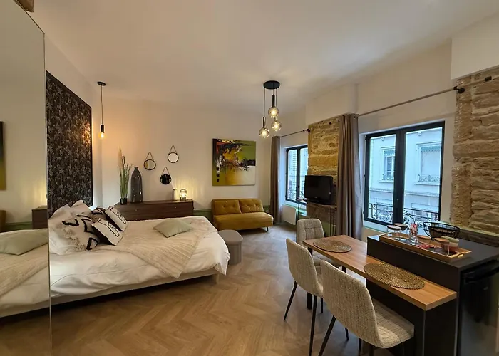 Appartement élégant et chic refait à neuf Lyon