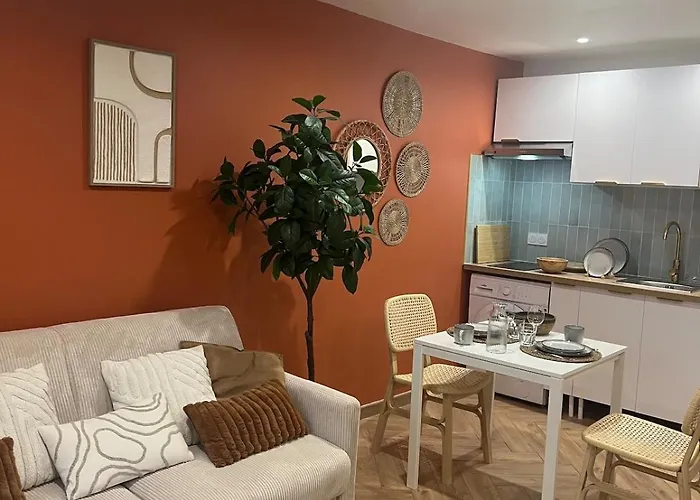Appartement Croix Rousse à Lyon