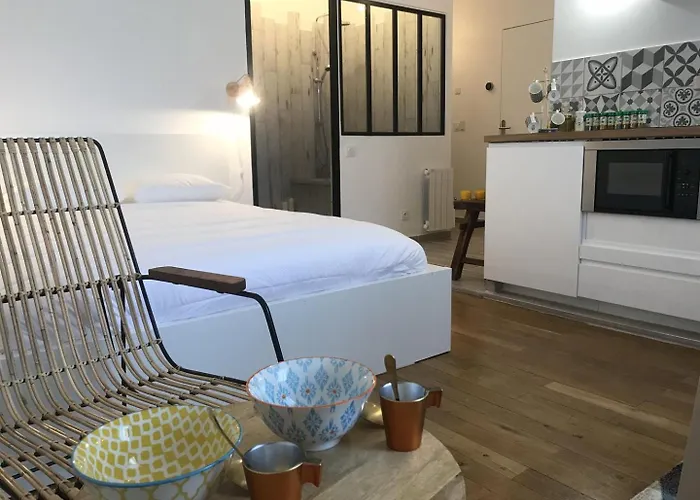 La Suite de Léon appartement D - Lyon Garibaldi