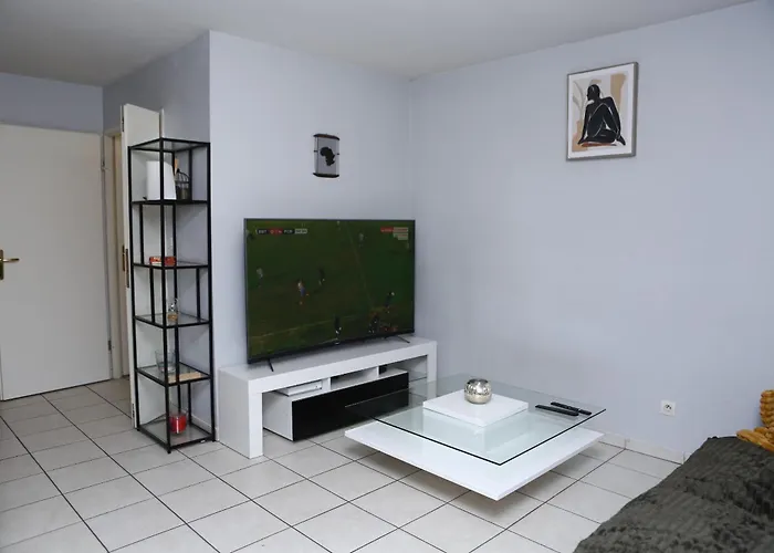 Appartement T2 Confortable à Lyon