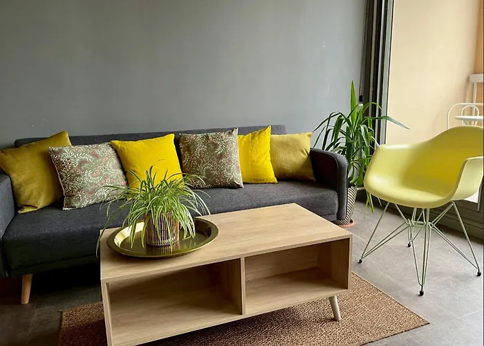 One Bedroom Apartment Centre Lyon Free Private Parking
