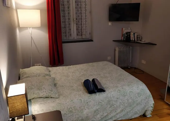 Studio Calme avec Jardin, Tram T6&Métro D, Proche Hôpital Mermoz et Édouard Herriot Lyon