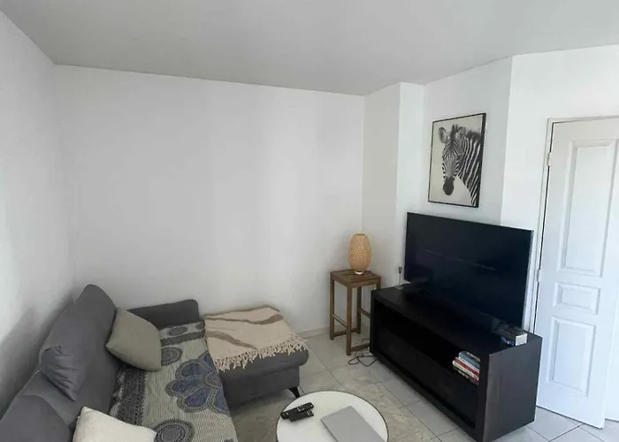 Superbe appartement à Lyon8 avec 2 balcons