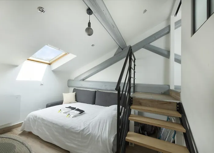 Appartement Duplex rénové parking gratuit Lyon 9