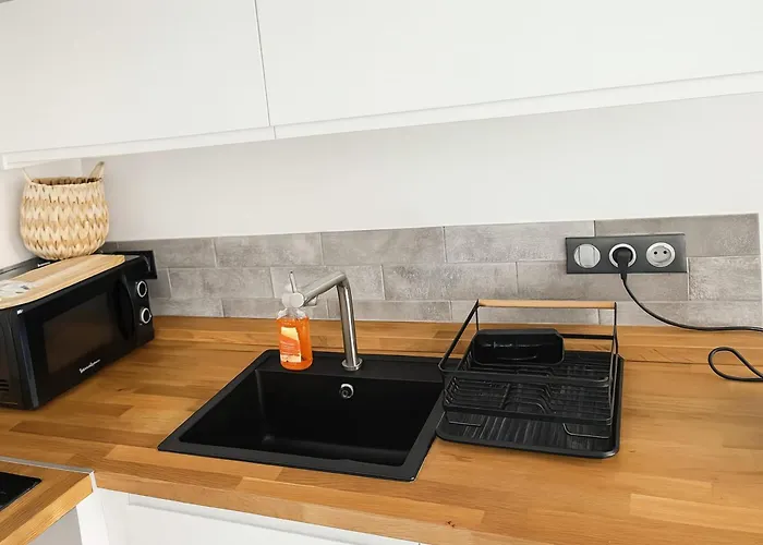Appartement Authentic charm Quartier Burdeau Lyon 1st