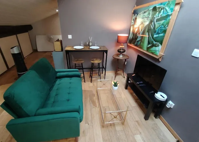 Chaleureux studio cœur St Jean Bellecour Lyon