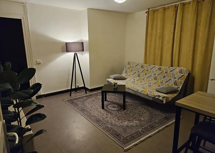 Appartement Superbe T2 - lyon 8 Laennec