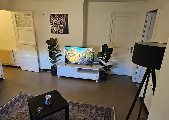 Appartement Superbe T2 - lyon 8 Laennec