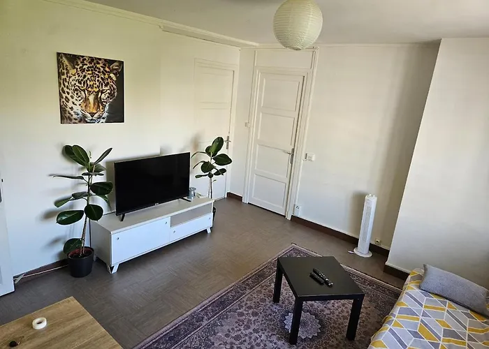 Appartement Superbe T2 - lyon 8 Laennec