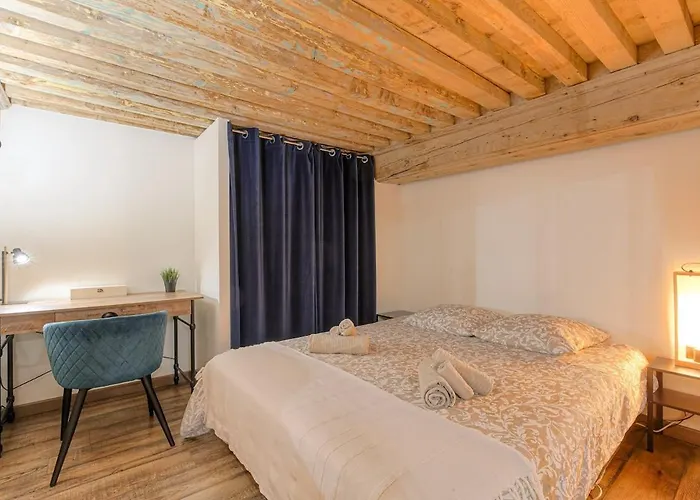 Appartement Le Canut Croix-Rousse Lyon Centre