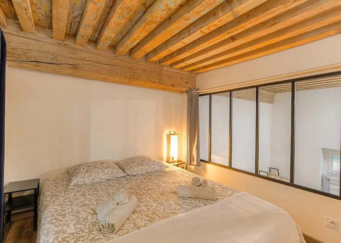 Appartement Le Canut Croix-Rousse Lyon Centre