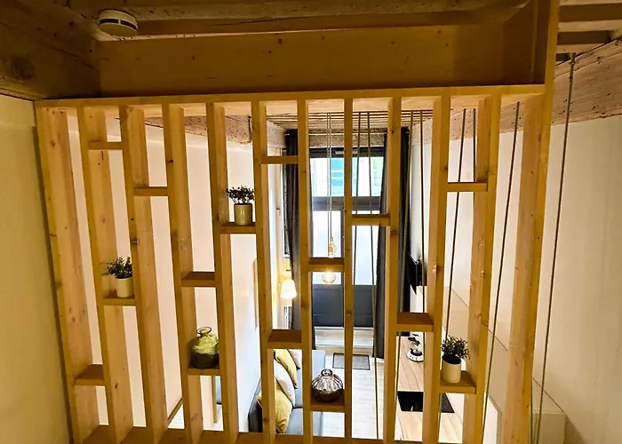 Appartement Canut Lyon Croix-Rousse