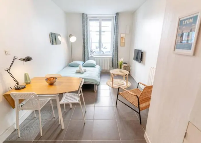 Quiet&central duplex apartment Wifi near Rhône&Parc Blandan Lyon
