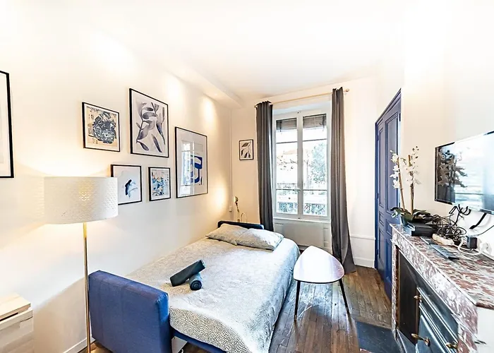 Le petit Charlemagne- Studio Rénové -Perrache Lyon