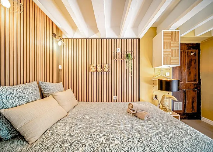 Warm&well-appointed studio Foch Masséna district Lyon