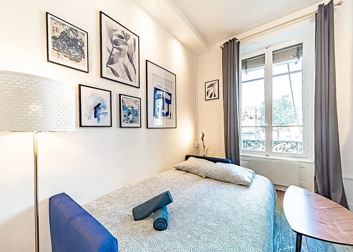 Le petit Charlemagne- Studio Rénové -Perrache Lyon