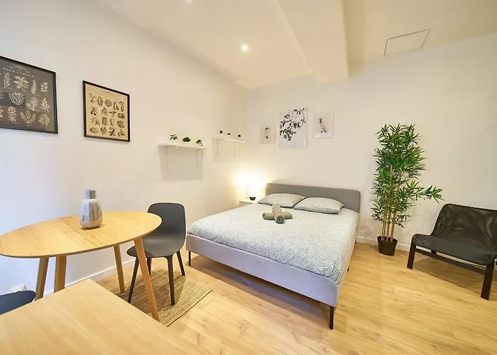 Appartement Le Petit Pierre Scize - Quais de Saône à Lyon