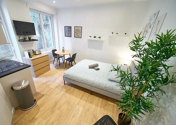 Appartement Le Petit Pierre Scize - Quais de Saône à Lyon