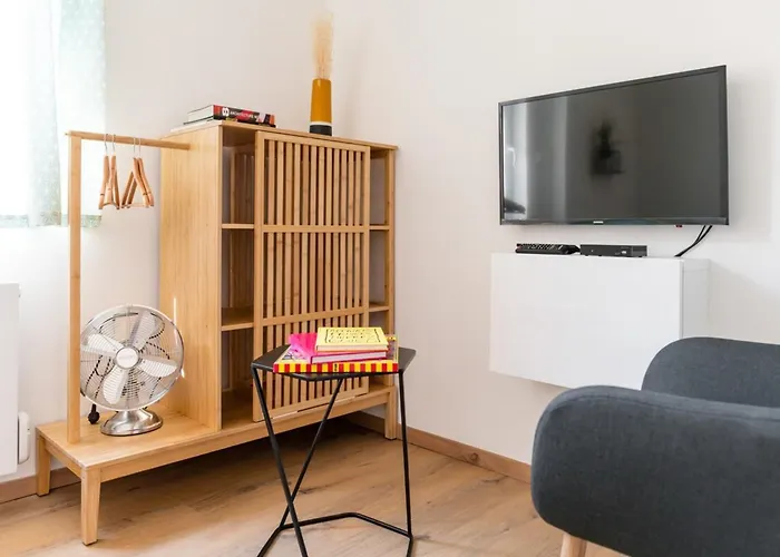 Cozy And Elegant Studio Bellecombe District Lyon 6Th