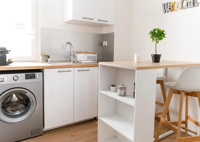 Cozy And Elegant Studio Bellecombe District Lyon 6Th