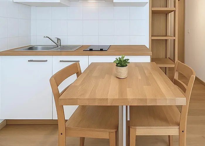 Functional And Well Located Studio Close To Metro And Shops Lyon