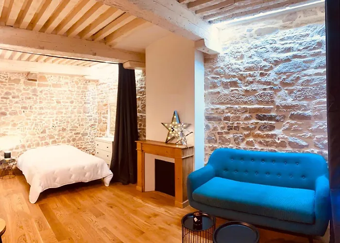 Appartement Le cosy pierre scize à Lyon