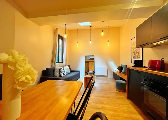 Citrane - appartement 4 personnes - check in h24 - wifi Lyon
