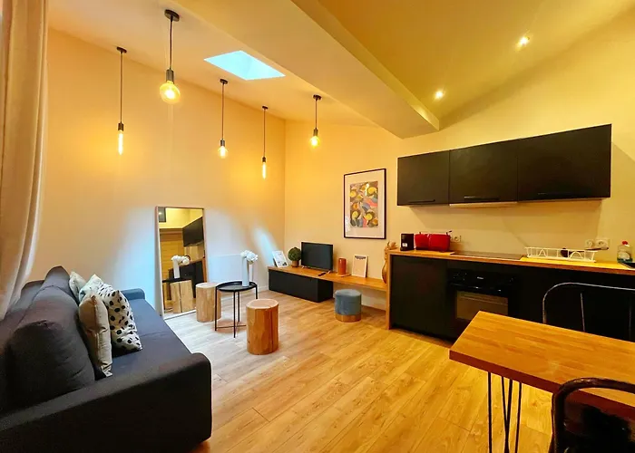 Citrane - appartement 4 personnes - check in h24 - wifi Lyon