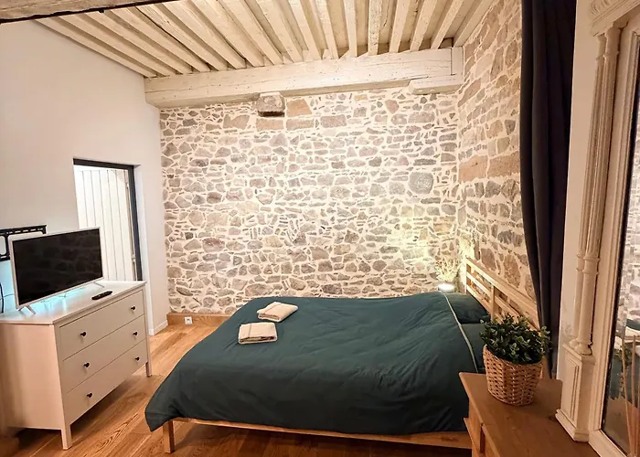 Appartement Le cosy pierre scize à Lyon