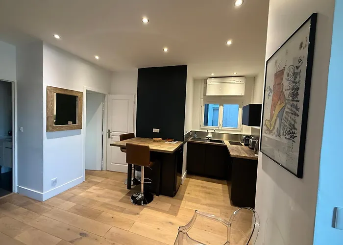 Studio totalement rénové en plein centre-ville devant la Préfecture de Lyon