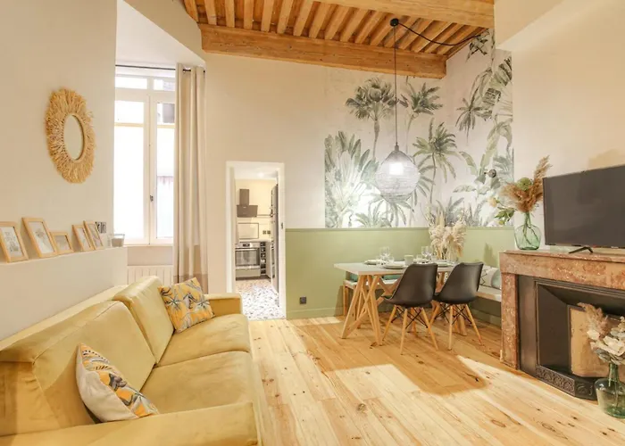 Appartement Le Raffiné avec Caractère en hypercentre à Lyon