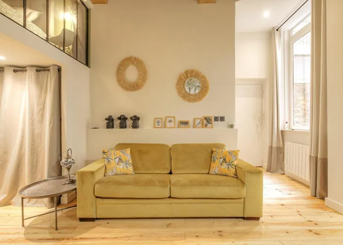 Appartement Le Raffiné avec Caractère en hypercentre à Lyon