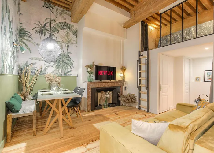 Appartement Le Raffiné avec Caractère en hypercentre à Lyon
