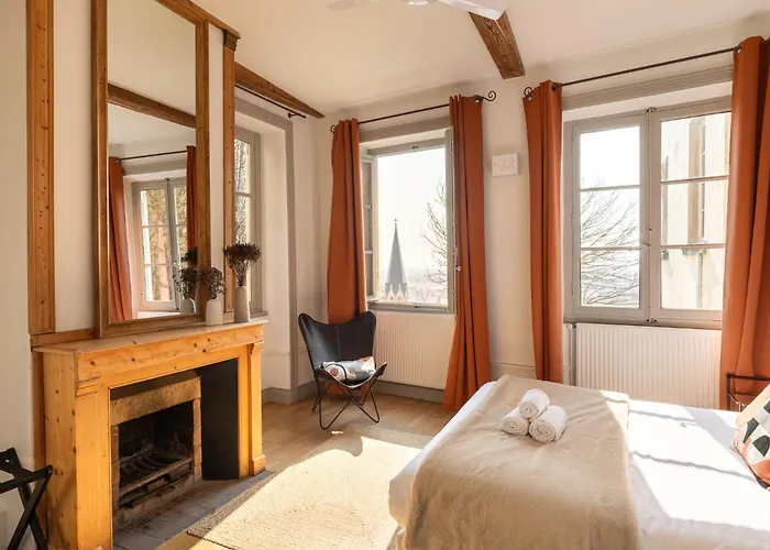 Duplex Spacieux Jardin Privé et Vue sur le Vieux-Lyon