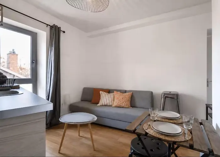 Appartement cocon des artistes à Lyon