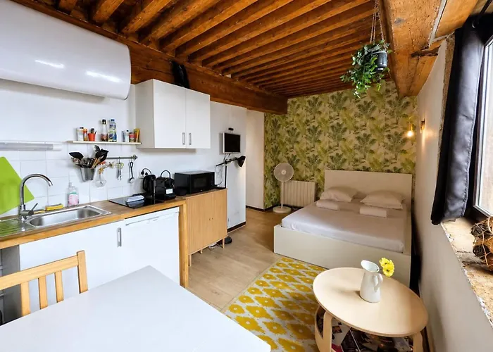 Fully Furnished Studio City Center Lyon
