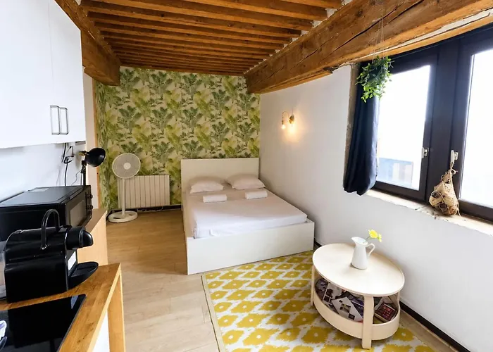 Fully Furnished Studio City Center Lyon