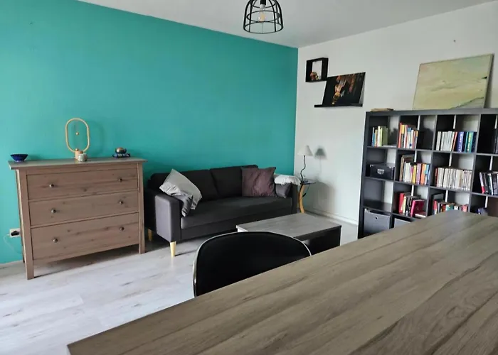 Appartement de charme, Garage, Terrasse, Piscine Lyon