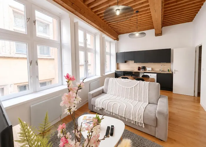 Appartement Cosy appt cœur de Lyon du Bœuf 3