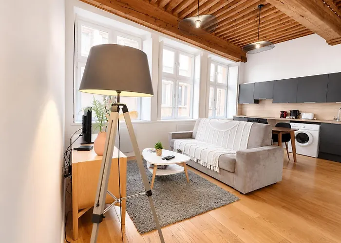 Appartement Cosy appt cœur de Lyon du Bœuf 3