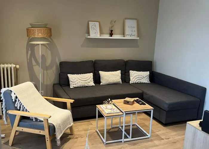 Appartement Envie Lyonnaise Location - 14 personnes - Terrasse - WIFI fibre optic