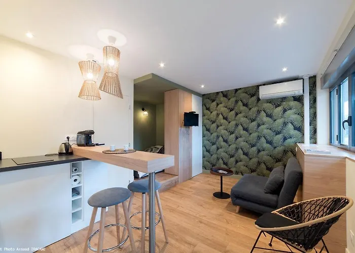 Studio Design Paloma Dark Lyon